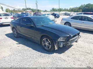 FORD FORD MUSTANG V6 PREMIUM