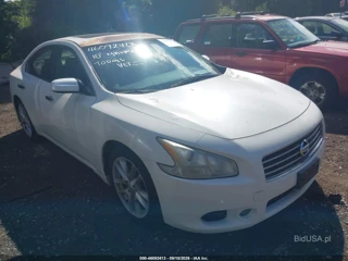 NISSAN NISSAN MAXIMA S/SV