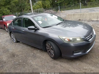 HONDA HONDA ACCORD SPORT