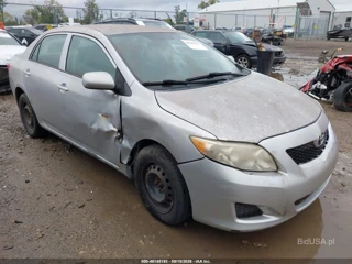 TOYOTA TOYOTA COROLLA LE