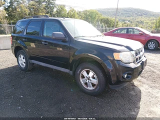 FORD FORD ESCAPE XLT