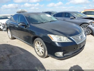 LEXUS LEXUS ES 350