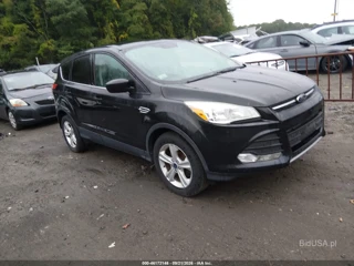 FORD FORD ESCAPE SE