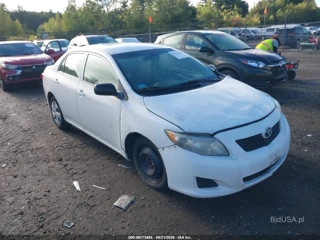 TOYOTA TOYOTA COROLLA