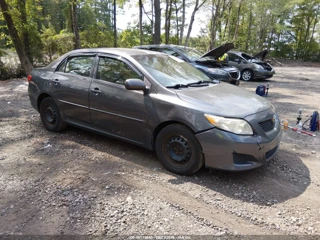 TOYOTA TOYOTA COROLLA LE