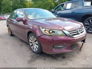 HONDA HONDA ACCORD EX-L