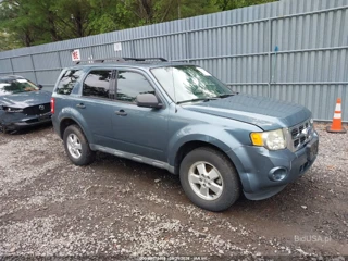 FORD FORD ESCAPE XLT