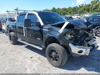 FORD FORD F-150 XLT