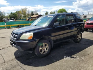 HONDA PILOT