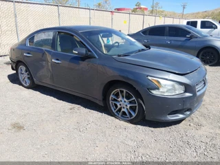 NISSAN NISSAN MAXIMA 3.5 SV