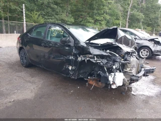 TOYOTA TOYOTA COROLLA LE