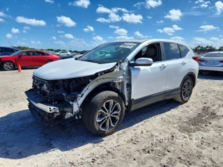 HONDA CR-V EXL