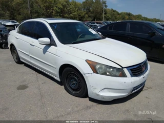 HONDA HONDA ACCORD 2.4 EX-L