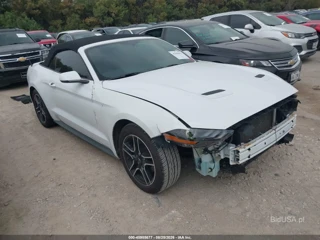 FORD FORD MUSTANG ECOBOOST PREMIUM