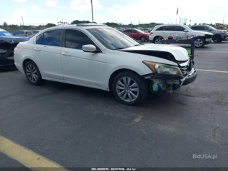 HONDA HONDA ACCORD 2.4 EX-L