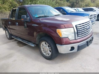 FORD FORD F-150 FX2 SPORT/HARLEY-DAVIDSON/KING RANCH/LARIAT/PLATINUM/XL/XLT