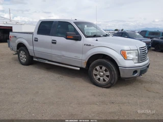FORD FORD F-150 XLT