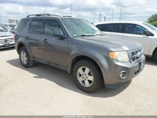 FORD FORD ESCAPE XLT