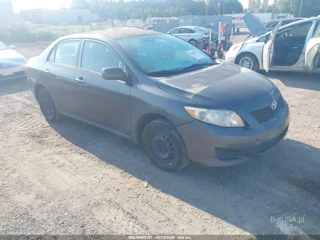 TOYOTA TOYOTA COROLLA LE