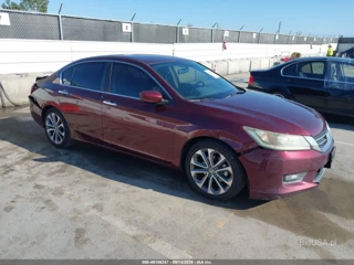 HONDA HONDA ACCORD SPORT