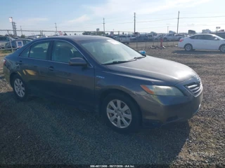 TOYOTA TOYOTA CAMRY HYBRID