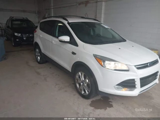 FORD FORD ESCAPE SEL