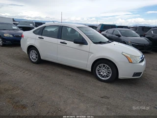 FORD FORD FOCUS SE