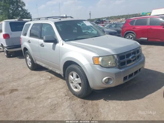 FORD FORD ESCAPE XLT