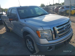 FORD FORD F-150 XLT