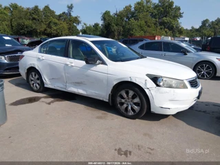 HONDA HONDA ACCORD 2.4 EX-L