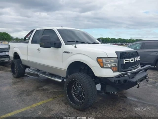 FORD FORD F-150 XLT