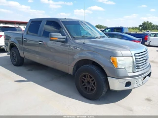 FORD FORD F-150 XLT