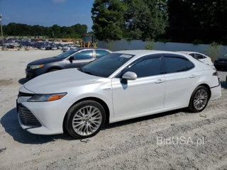 TOYOTA CAMRY HYBRID XLE