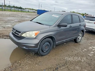 HONDA CR-V LX