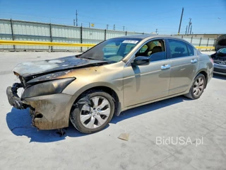 HONDA ACCORD EXL