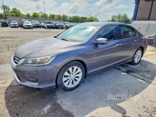 HONDA ACCORD EXL