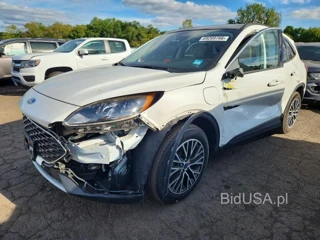 FORD ESCAPE SEL
