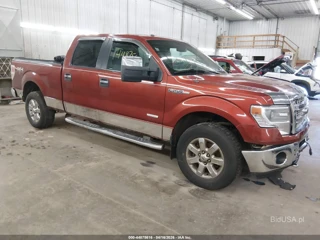 FORD FORD F-150 XLT
