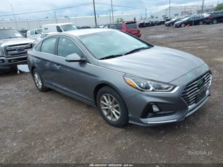 HYUNDAI HYUNDAI SONATA SE