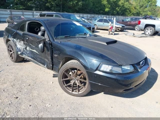 FORD FORD MUSTANG GT