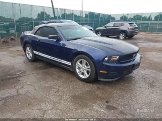 FORD FORD MUSTANG V6