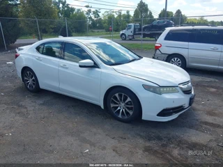 ACURA ACURA TLX TECH