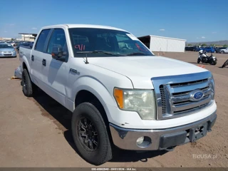 FORD FORD F-150 XLT