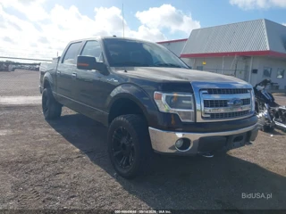 FORD FORD F-150 XLT