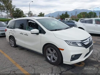 HONDA HONDA ODYSSEY EX-L