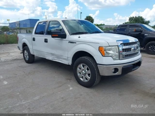 FORD FORD F-150 XLT