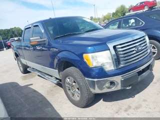 FORD FORD F-150 XLT