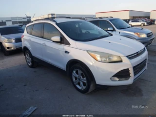 FORD FORD ESCAPE SE