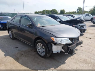 TOYOTA TOYOTA CAMRY LE