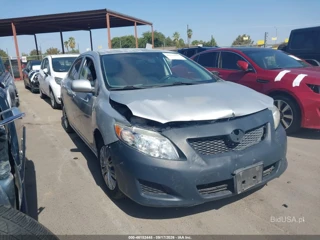 TOYOTA TOYOTA COROLLA LE